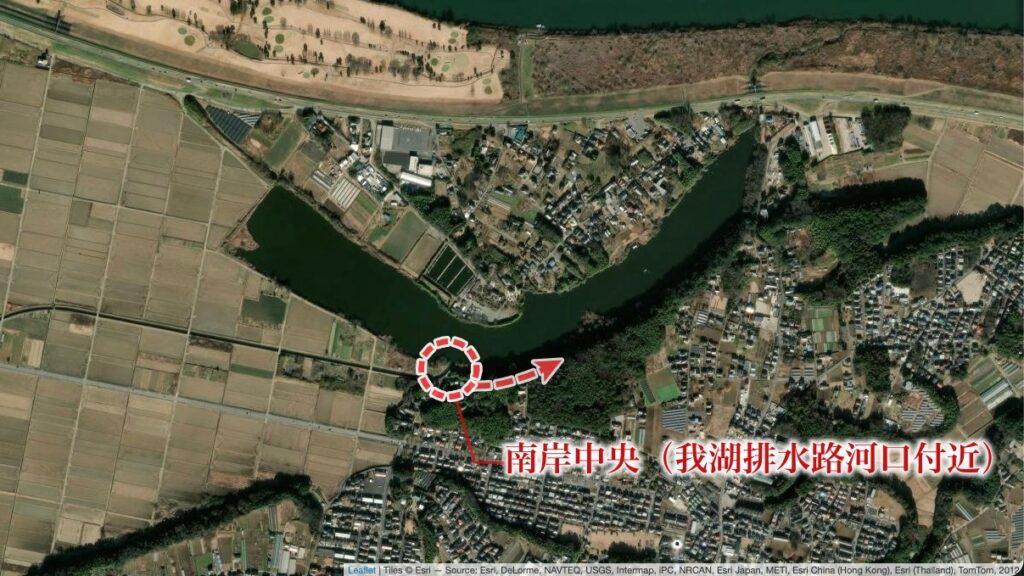 南岸中央(我湖排水路河口付近)