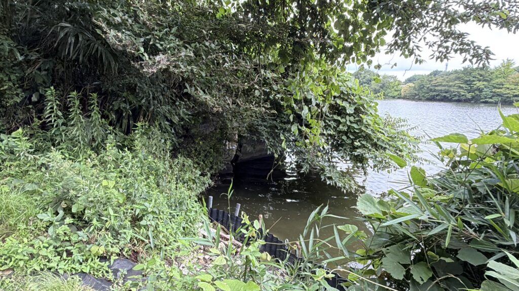南岸中央(我湖排水路河口付近)