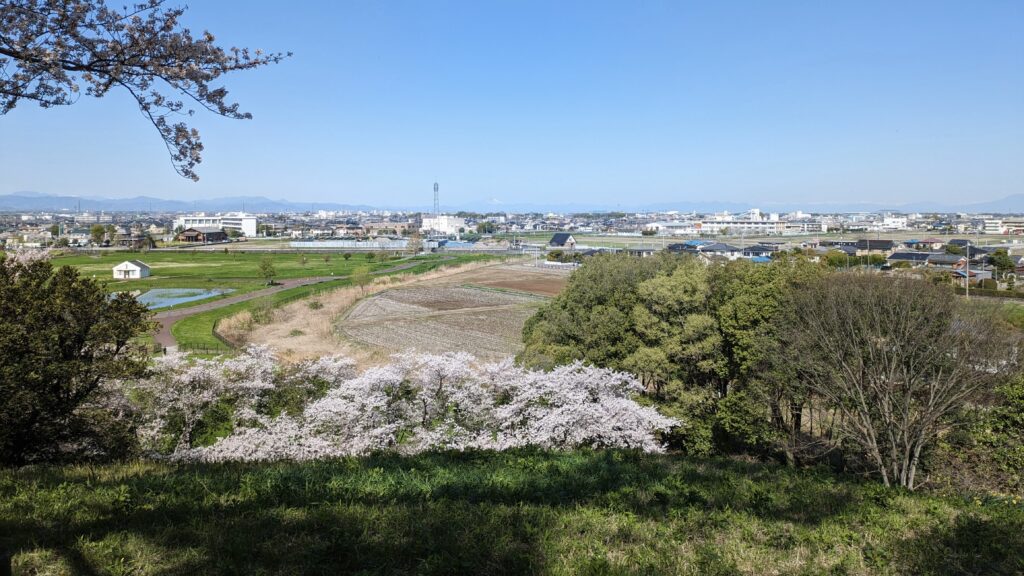 さきたま古墳で楽しむ「ぬ活」とは