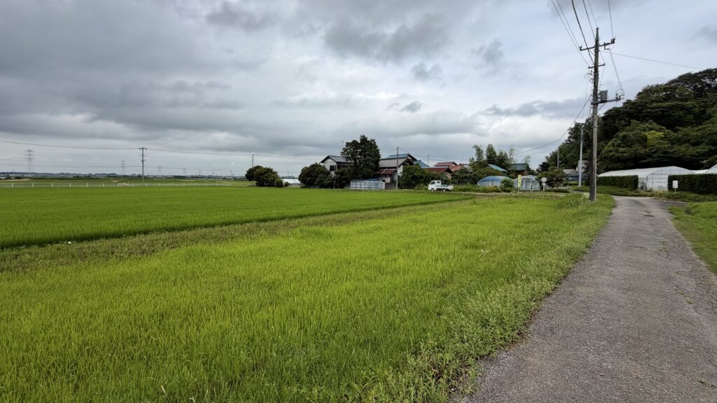 下手賀沼で楽しむ「ぬ活」とは