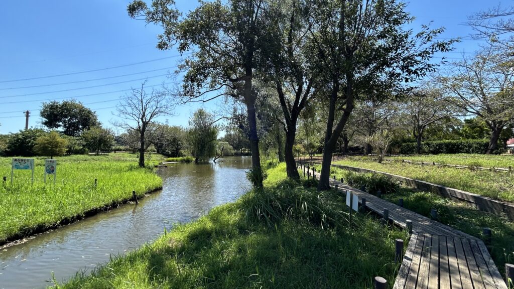 手賀沼を一周歩くなら手賀沼公園を起点に