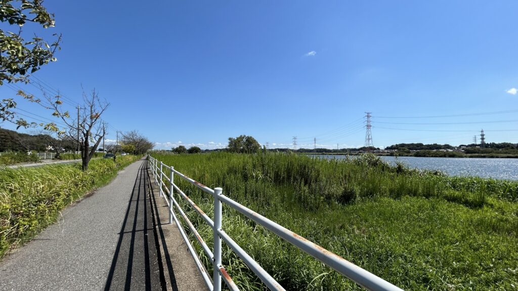 手賀沼を一周歩くなら手賀沼公園を起点に
