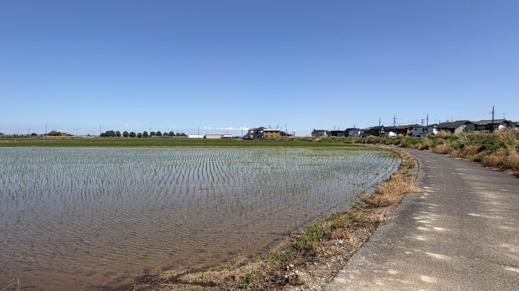 最初に印旛沼の干拓に挑んだ男たち