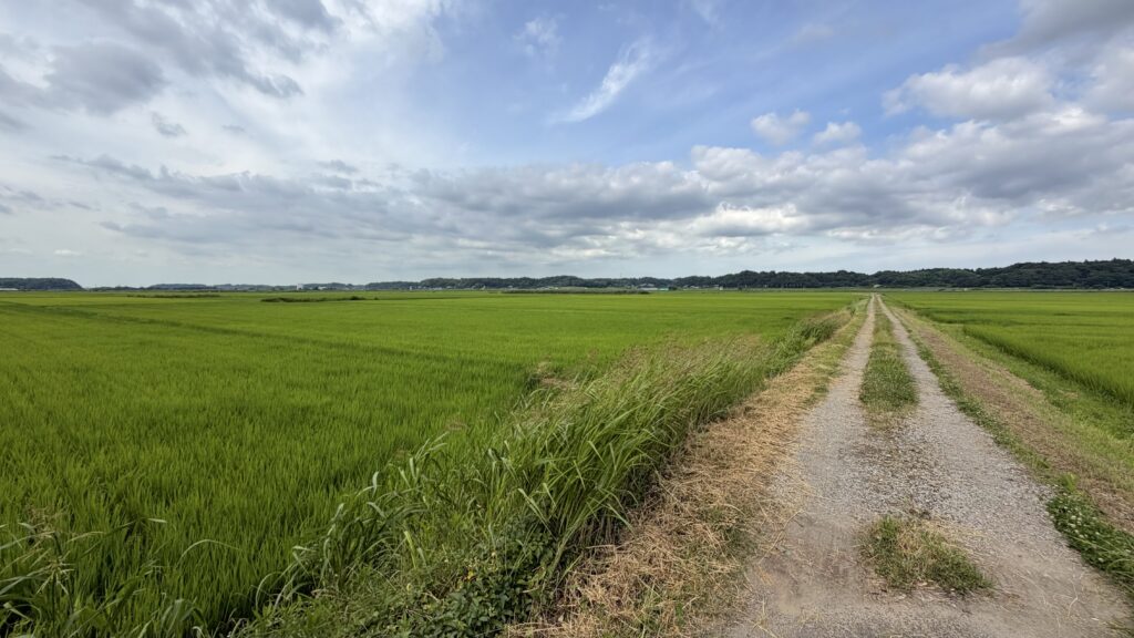 現地を歩いて気付いた印旛沼干拓のもう一つの価値