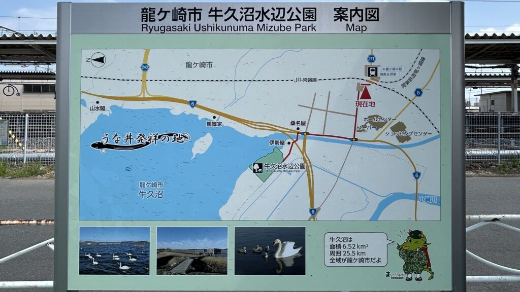 牛久沼は「うな丼」発祥の地