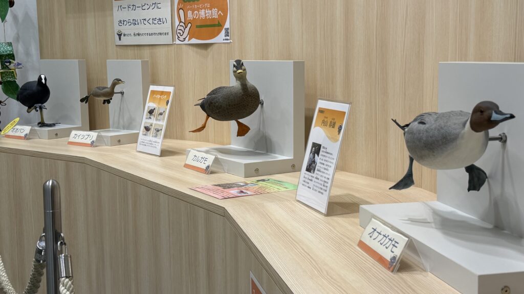 ラストやっぱりエラクトリクルパレード!