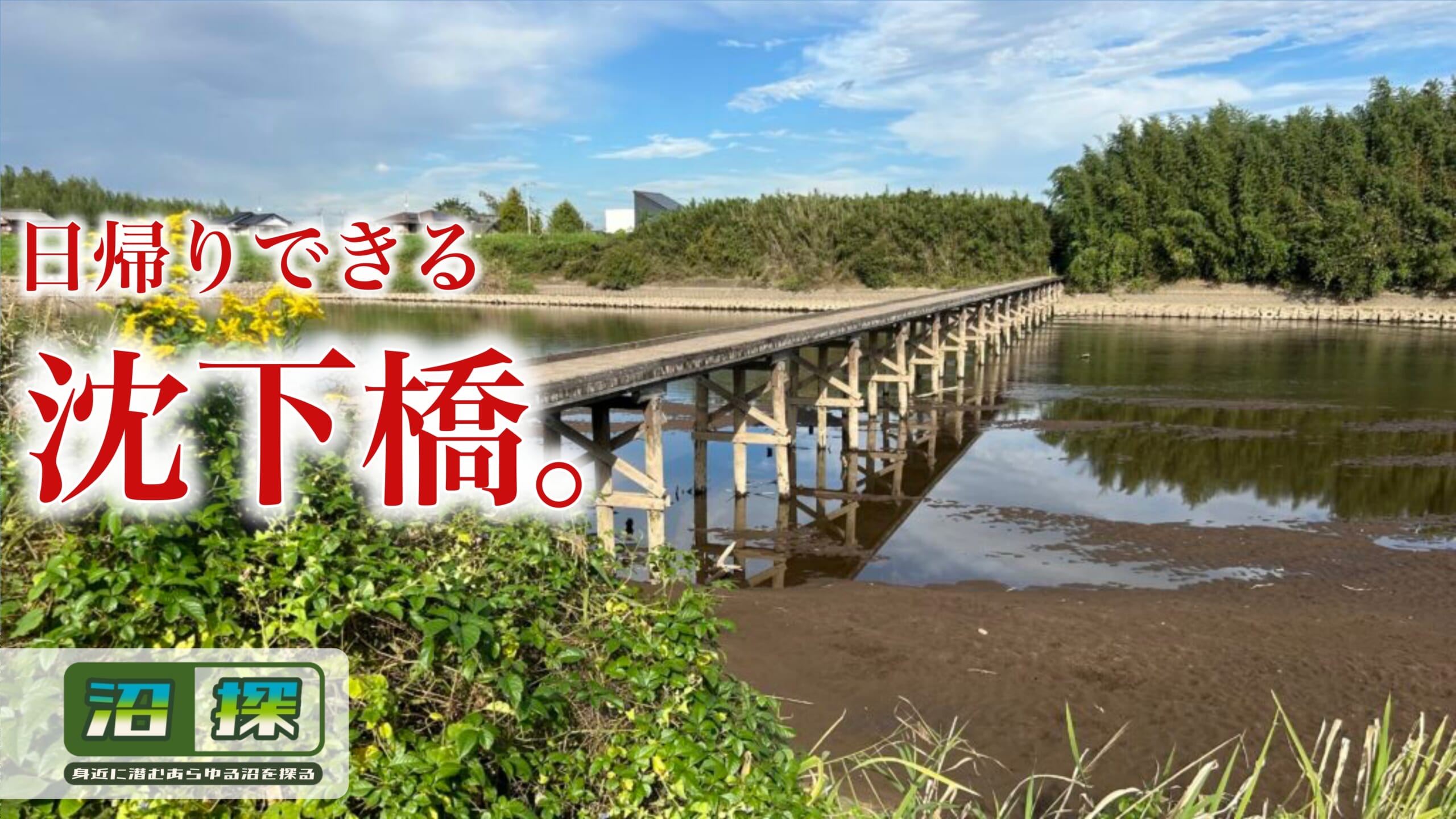 小目沼橋を歩いてみた：駐車場はある？江戸時代みたいな沈下橋を現地レビューします