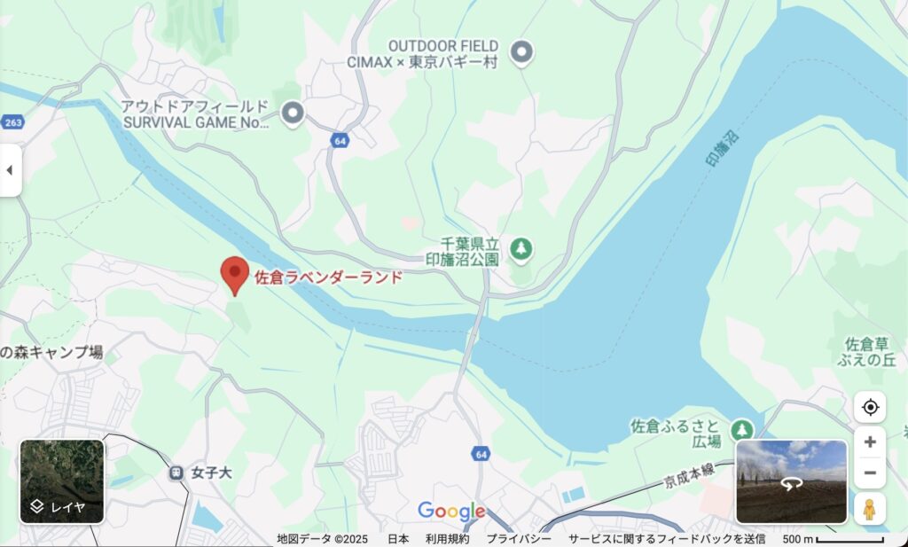 佐倉ラベンダーランド