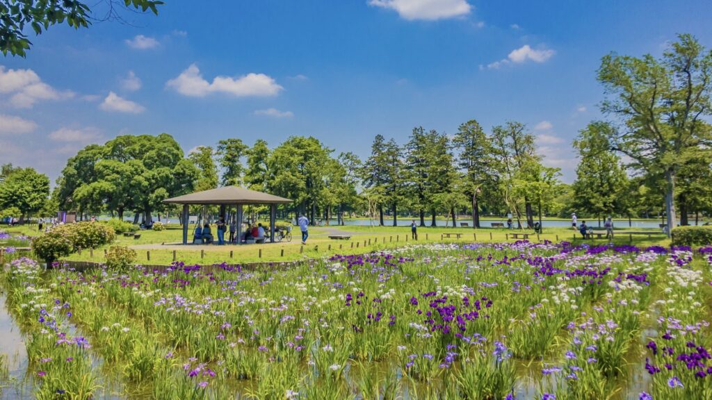 [東京都]はなしょうぶ園