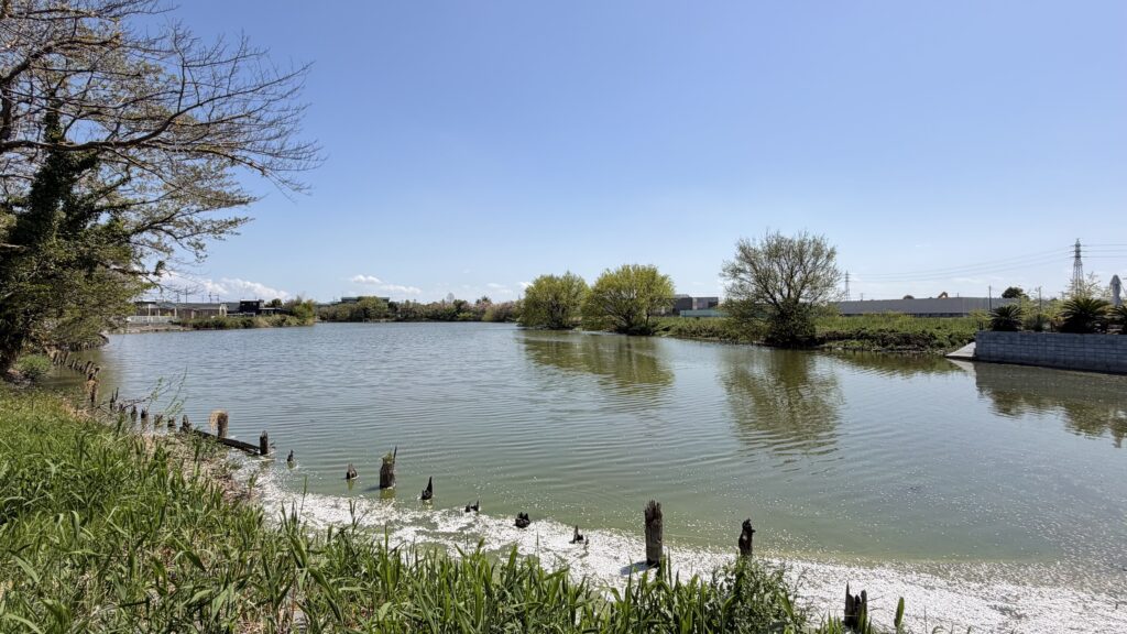 大沼(おおぬま)：加須市