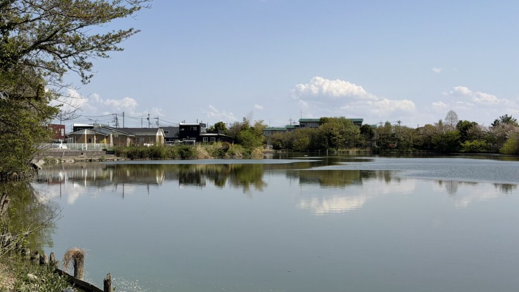 大沼(おおぬま)：加須市