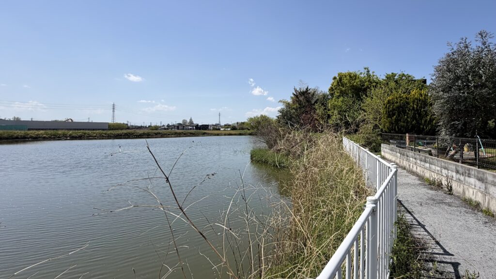 大沼(おおぬま)：加須市