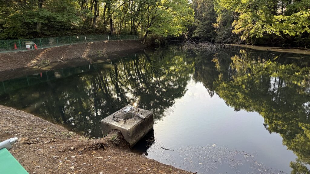 入山沼(いりやまぬま)：東松山市