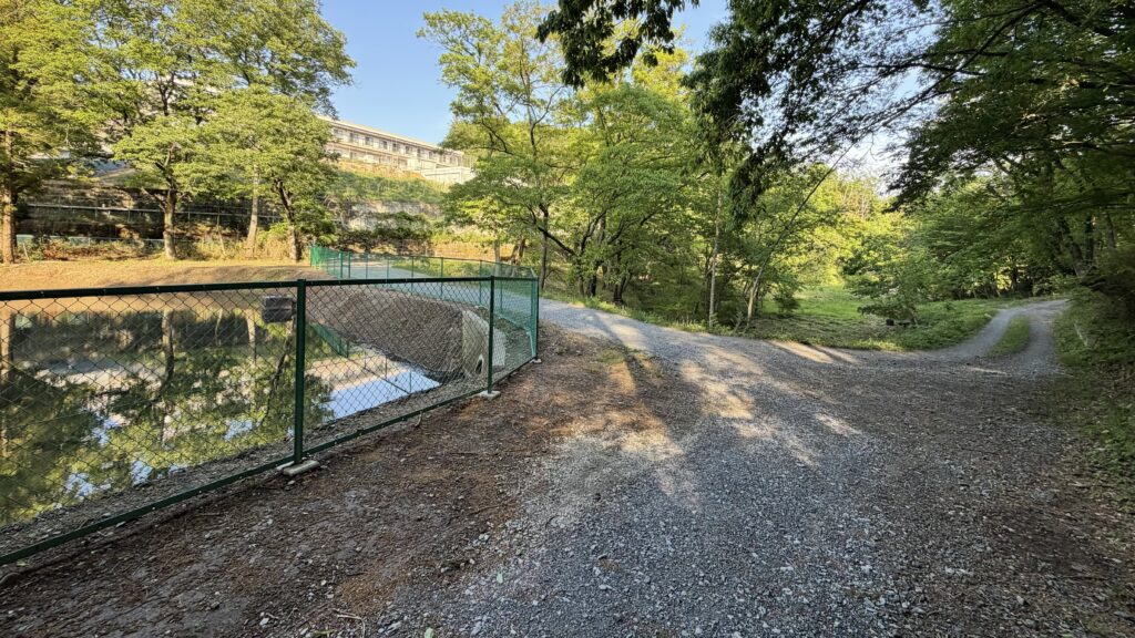 入山沼(いりやまぬま)：東松山市