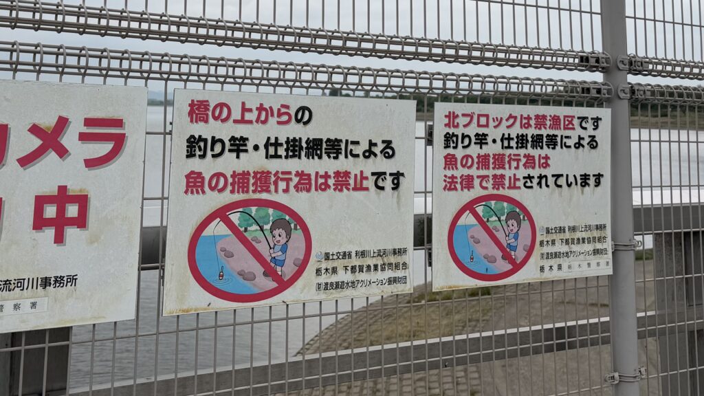 渡良瀬遊水地(わたらせゆうすいち):加須市