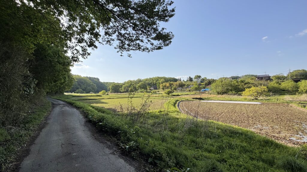 入山沼(いりやまぬま)：東松山市