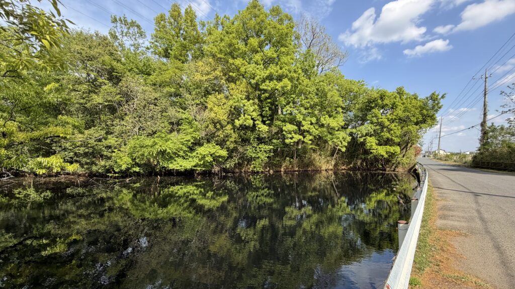 三角沼：東松山市