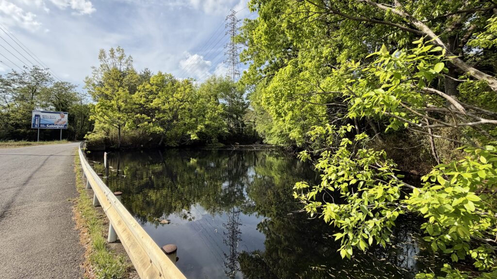 三角沼：東松山市