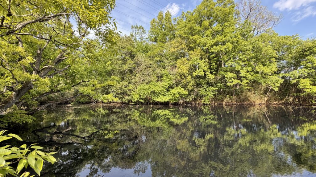 三角沼：東松山市
