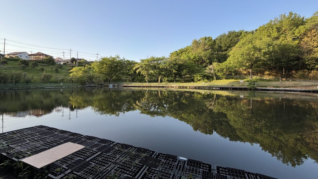 中丸沼(なかまるぬま)：東松山市