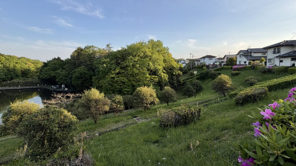 中丸沼(なかまるぬま)：東松山市