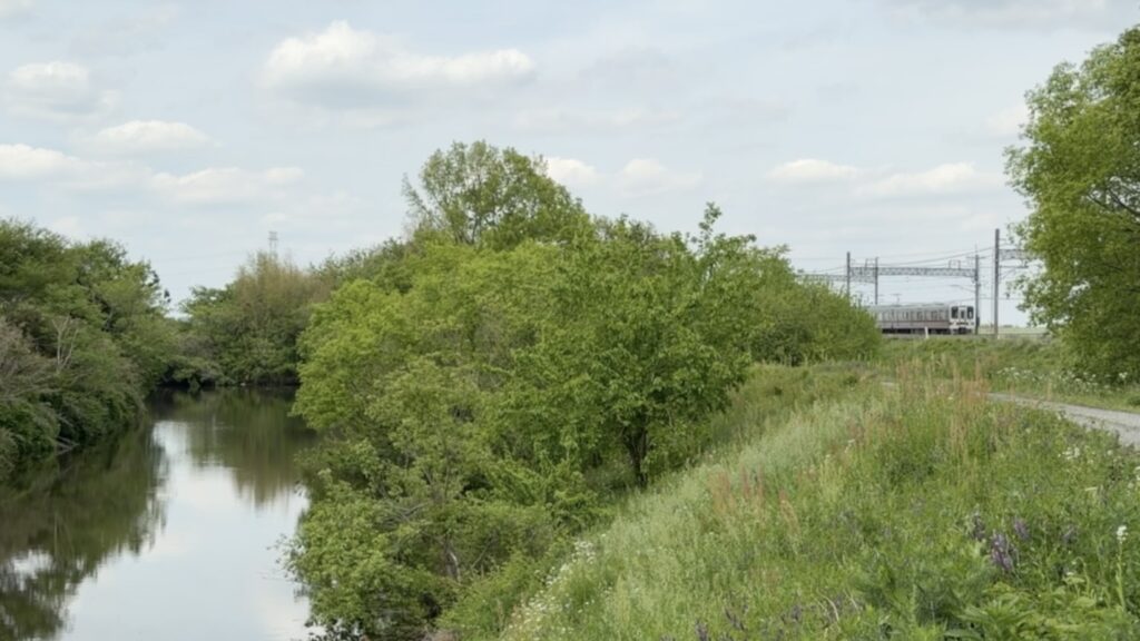 三日月沼(みかづきぬま)：東松山市