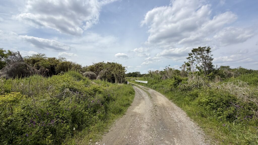 三日月沼(みかづきぬま)：東松山市