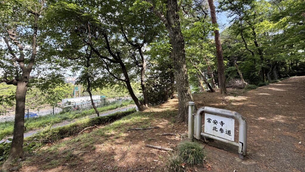 薬師沼(やくしぬま)：東松山市