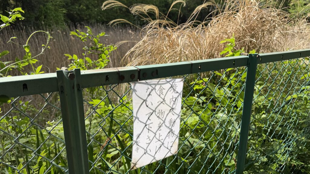 薬師沼(やくしぬま)：東松山市