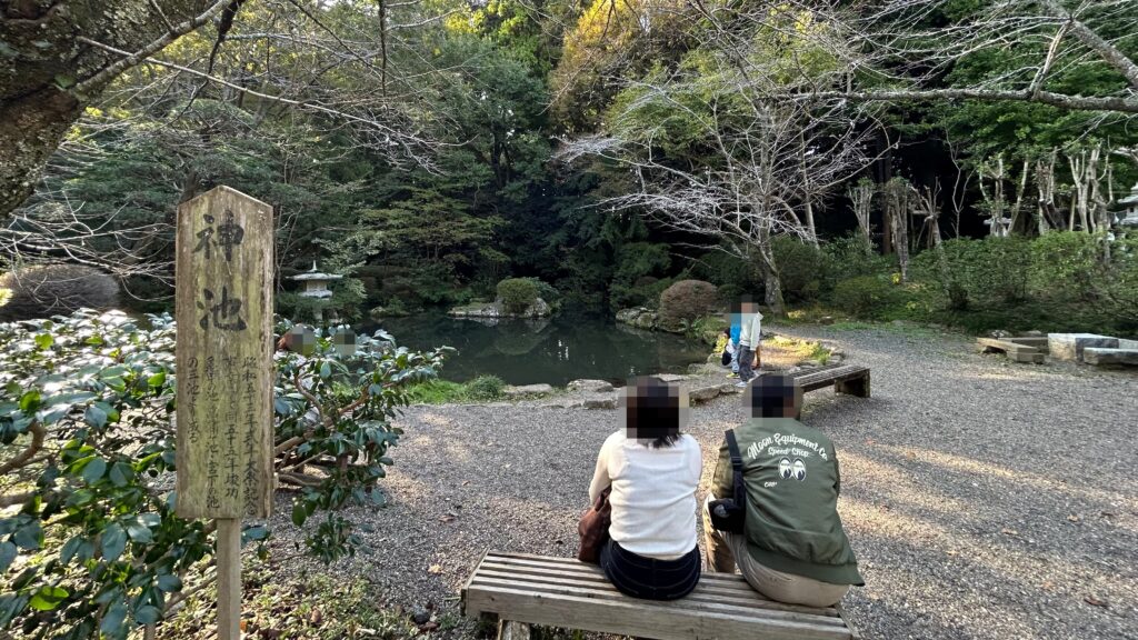 背景を知ることで見える新しい景色