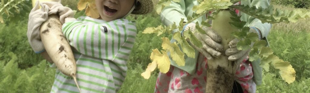 初心者向けズボラ栽培術