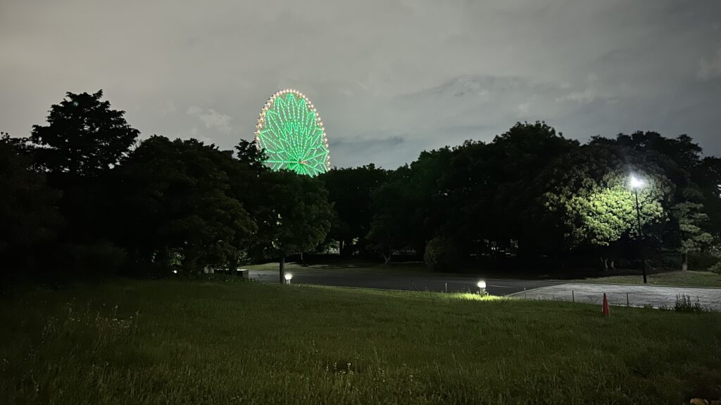 海沿い・林エリアは“視界が途切れ、静かすぎる”