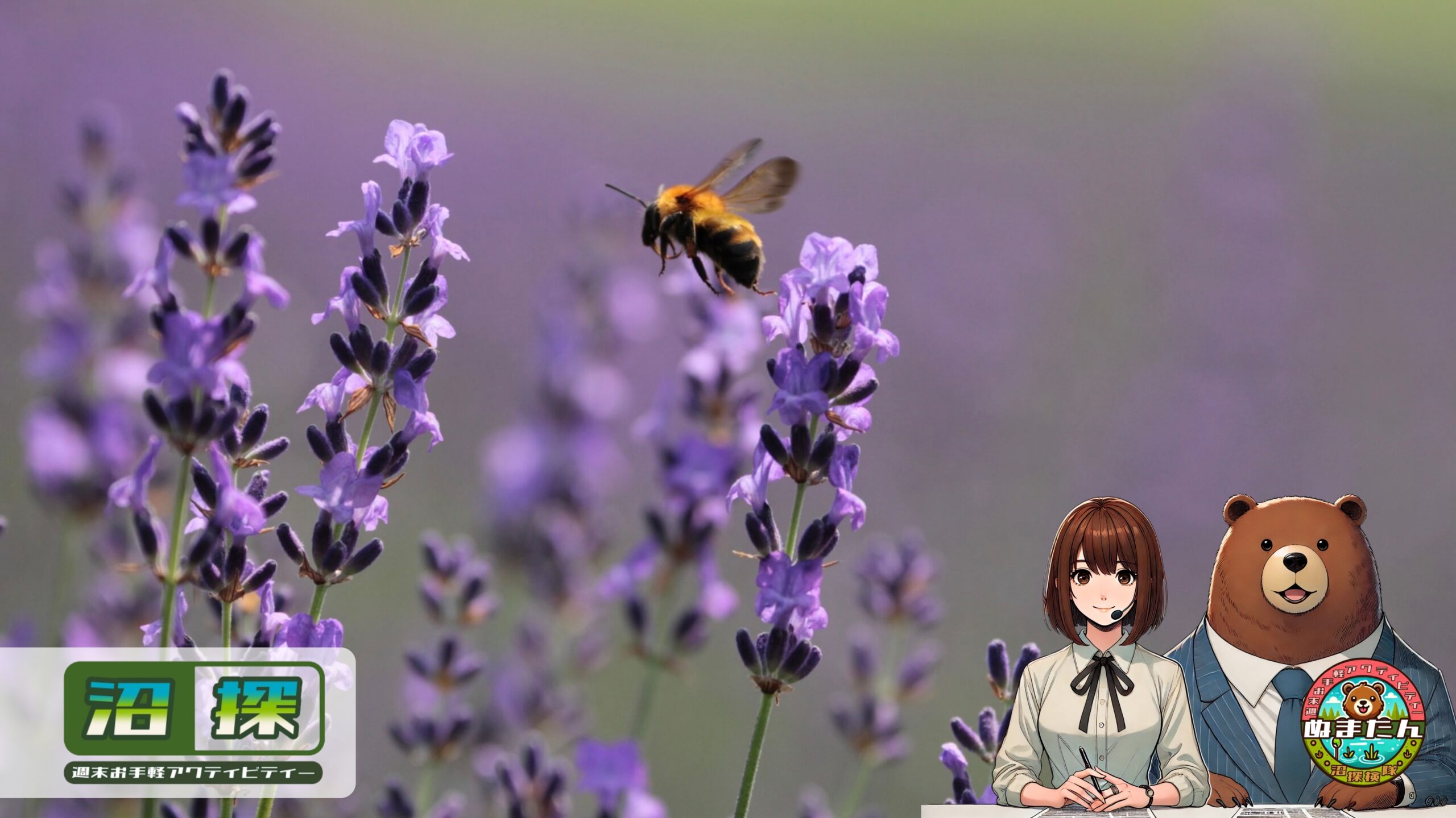 ラベンダーに虫が寄ってくる？