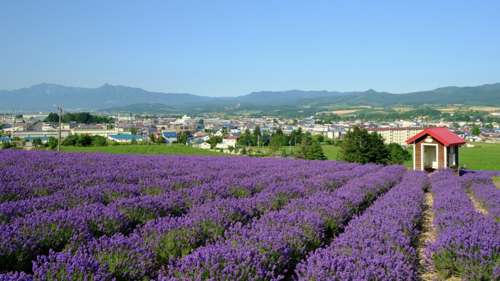 虫が寄ってくるのは香りではなく“栄養”だった