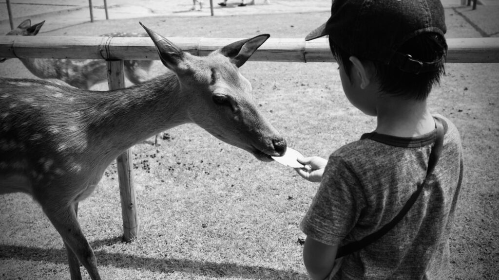 30年前の奈良公園はもっと平和だった