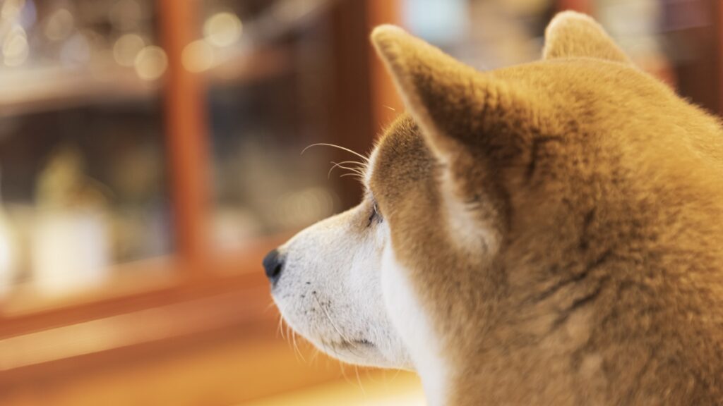 間接的に気づかせる“伝えない”伝え方