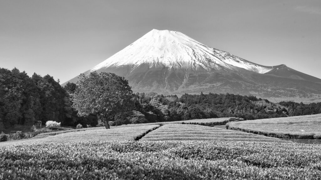 母の記憶とサンカがつながった瞬間