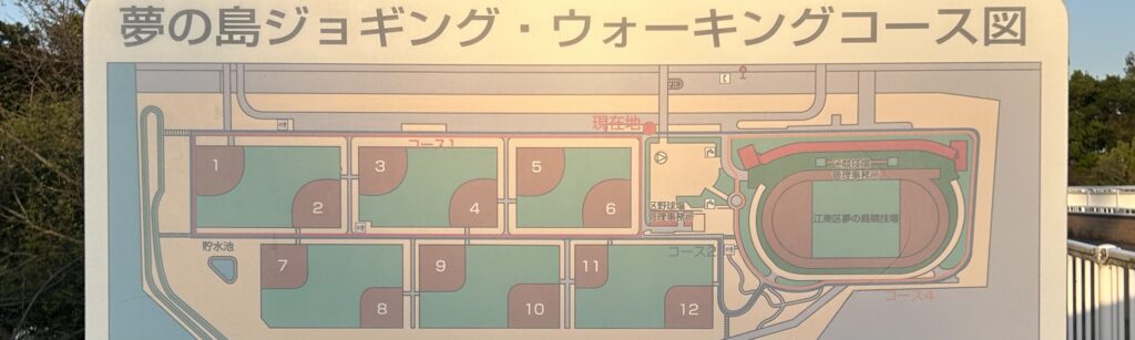 野球場12面のスケールに圧倒されるラストゾーン