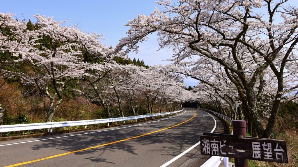 箱根ターンパイクは有料だけど最も快適な道