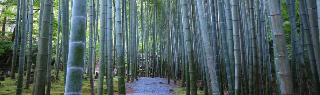 「もったいない」の正体は量を求める旅のクセ