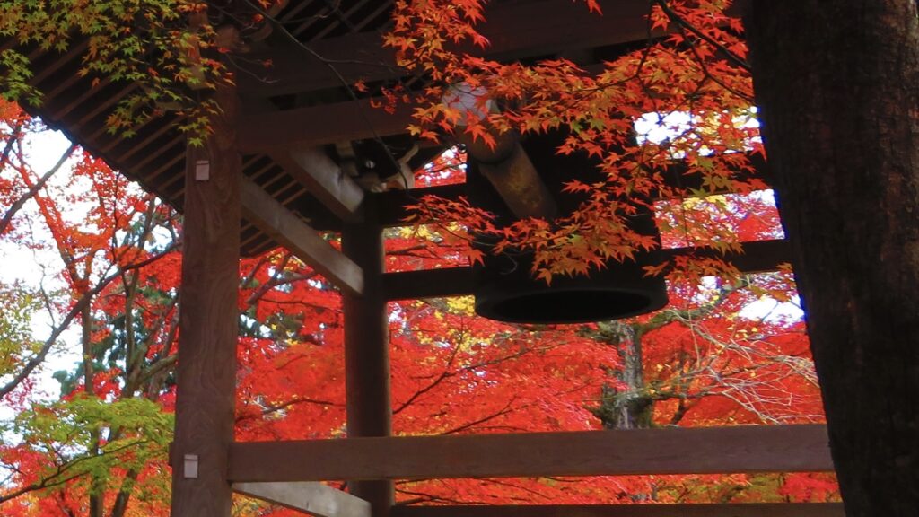 名所を捨てると京都が深くなる