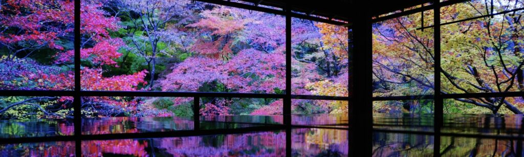 スマホをしまって風景の中にいる