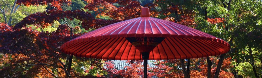 混雑を避けるなら時間と場所が鍵