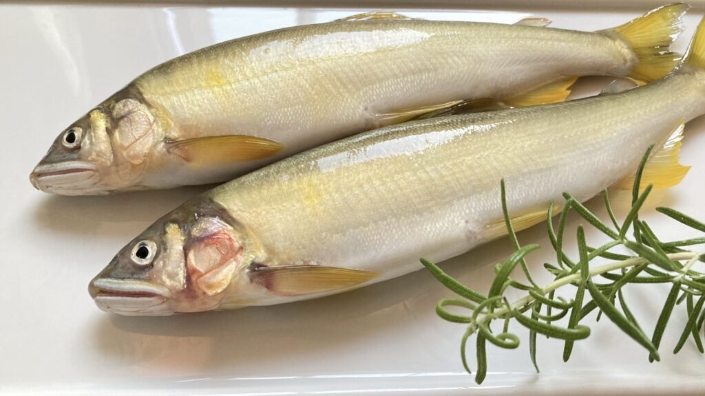 食べきるには重すぎる 中途半端なサイズ感の罠