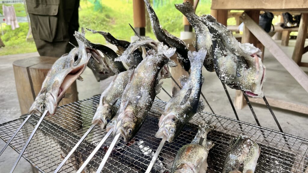 鮭のようで鮭じゃない 食味と見た目のミスマッチ
