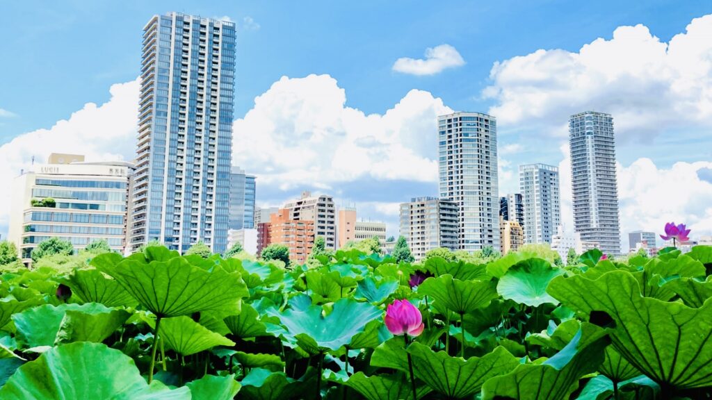 夏は暑いものという感覚で過ごしているだけ