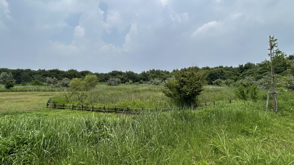 池での釣りは禁止されており遊びも制限される