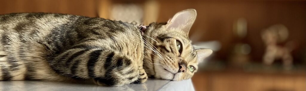「このままでいいのかな」と不安になる瞬間