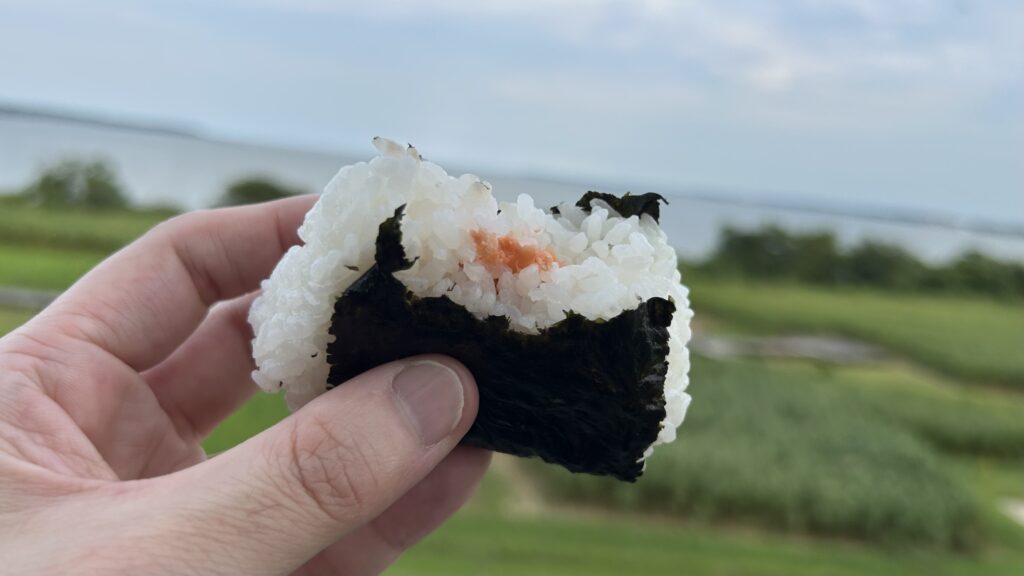 農業利用かつ「おにぎりが似合う」特例
