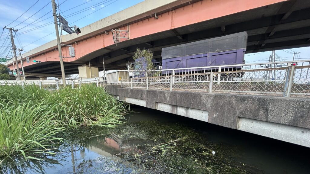 首都高三郷線と二郷半領用水路が並走する景観